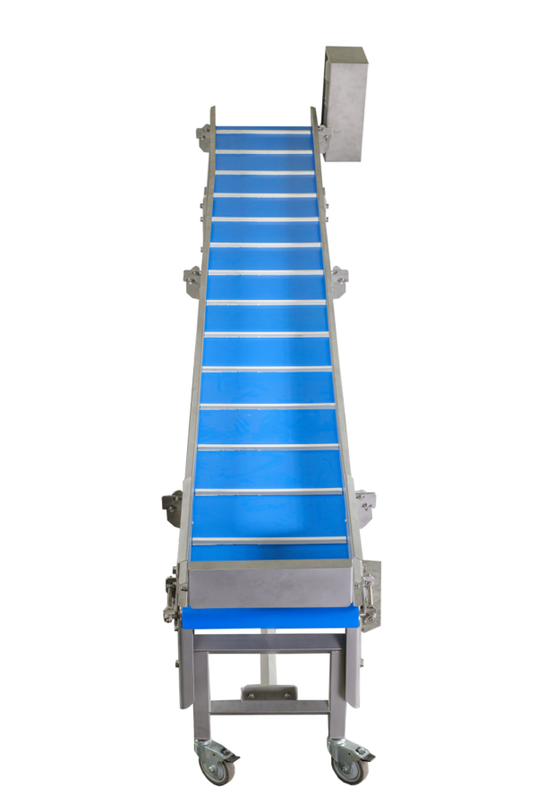 profruit sorting conveyor