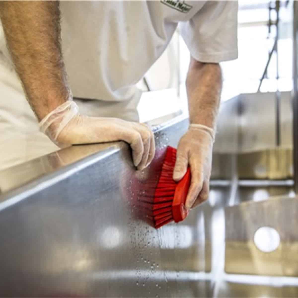 remco 7.9" hand scrub brush (stiff) remco 7.9" hand scrub brush (stiff)