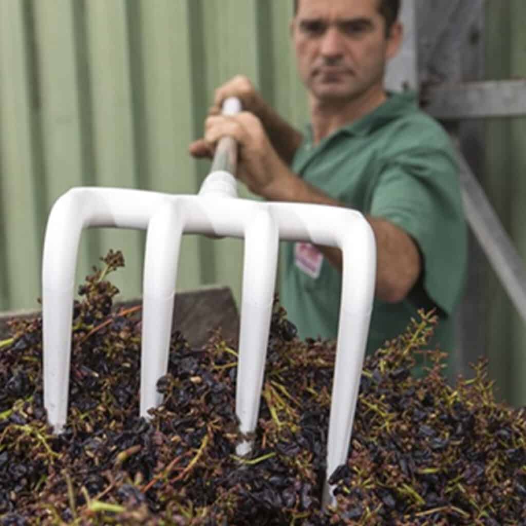 Remco Hygiene Rake Head - 90 Degree, 8.1