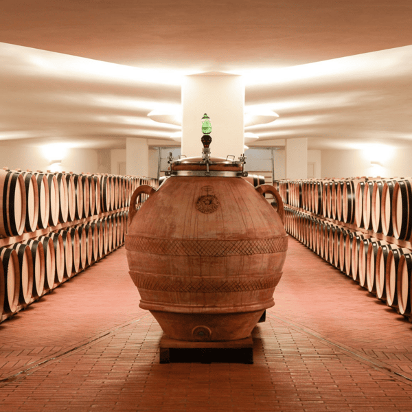 wine amphoras