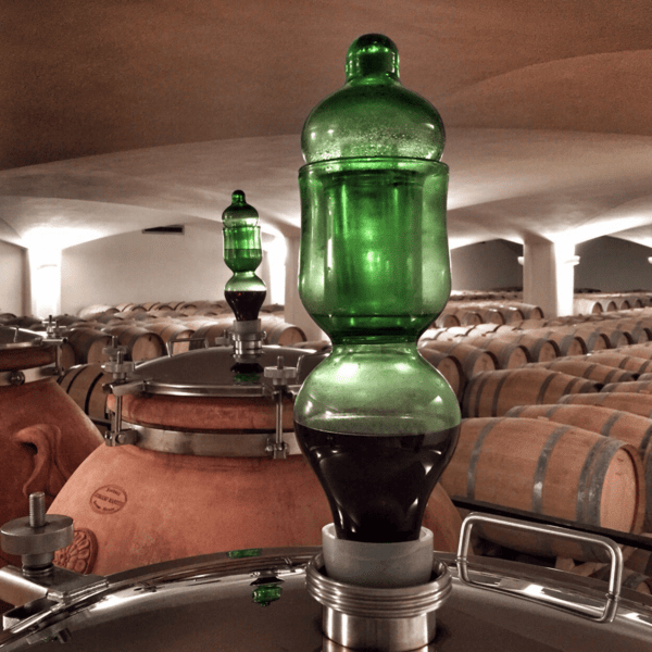 wine amphoras