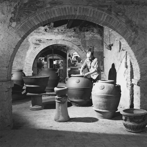 wine amphoras